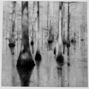 Image description is not available for 1999.023